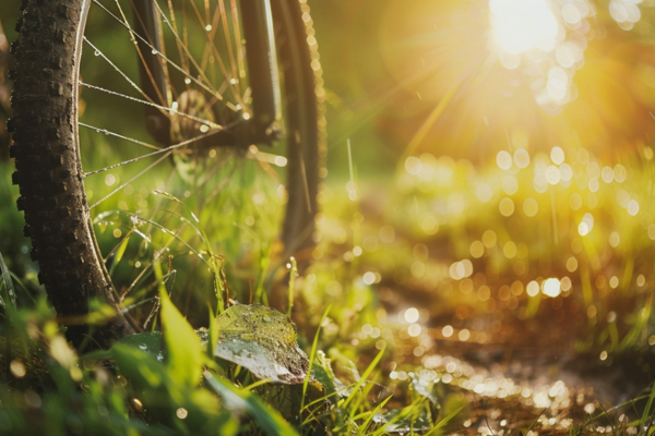 Benefícios ambientais do uso de bicicletas elétricas em centros urbanos